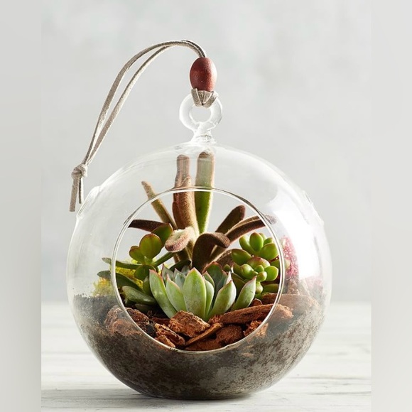 Craft Other - HANGING BALL Terrarium/Ornament/Birdfeeder in Clear Plastic, Set of 3